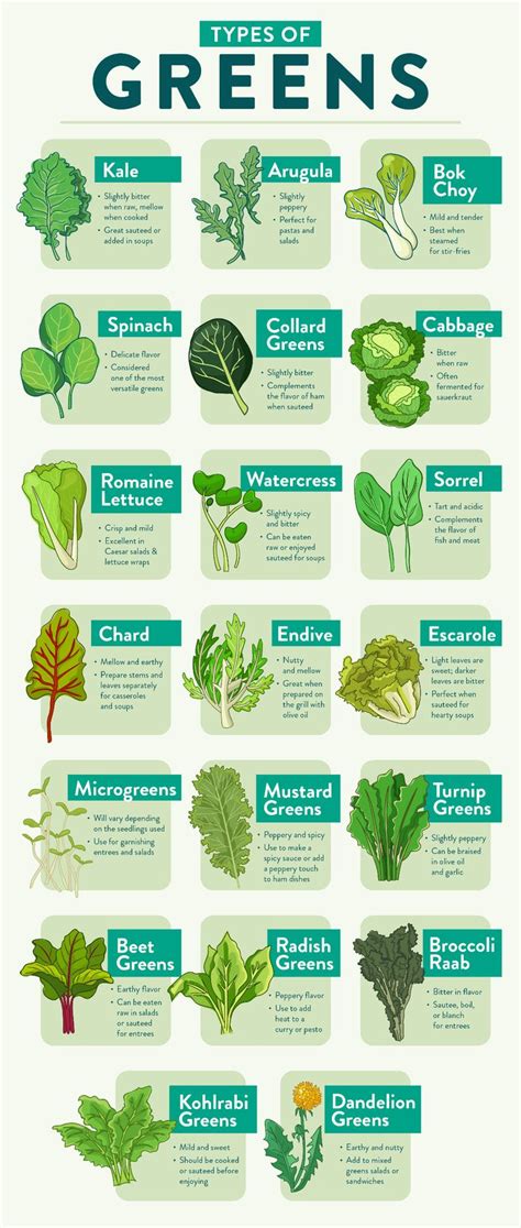 Different Types of Greens | Leaf vegetable, Greens, Nutrition recipes