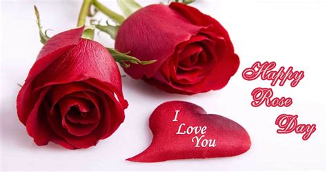 Happy Rose Day Wishes Valentine I Love You Image Picture Hd Wallpaper