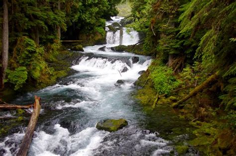 File:McKenzie River below Sahalie Falls, Waterfalls Loop Trail.jpg - Hiking in Portland, Oregon ...