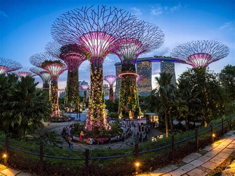 Singapore gardens[OC][5300x4000] : r/CityPorn