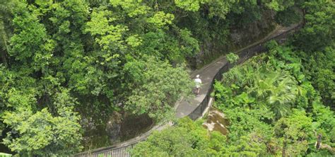 Hong Kong Hiking Trails: 5 Easy Trails in 2 Hours or Under | Hong Kong ...