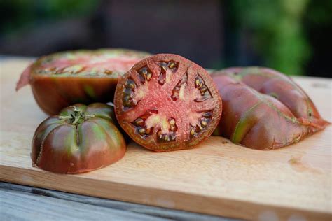 Best Bush and Vine Heirloom Tomato Varieties to Try This Season - Gardening Channel