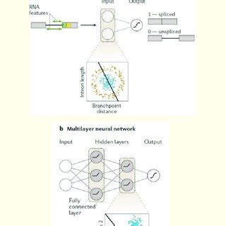 Supervised learning; neural networks with hidden layers used to model ...