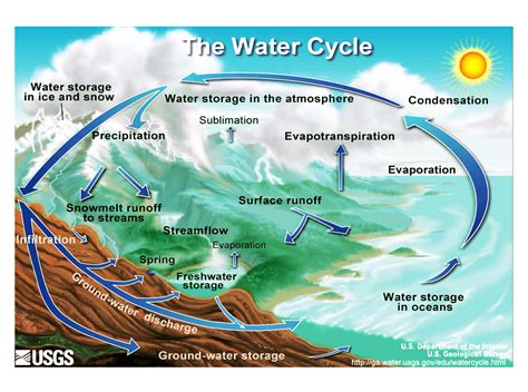 Water Cycle | Biology & Geology 4 ESO (2011-12)