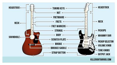 Ultimate Guide To Guitar Part Names: Everything You Need To Know ...