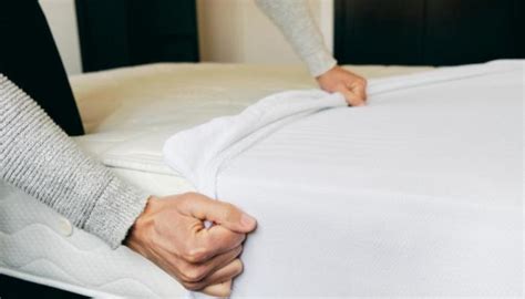 Discover 5 Ways to Prevent a Bed Bug Takeover & Save Your Mattress [+1 ...