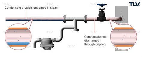 Separators and their Role in the Steam System | TLV