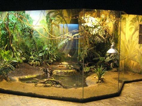 Iguana enclosure | Reptile habitat, Reptile room, Reptile terrarium