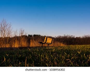 Empty Park Bench Stock Photo 1038956302 | Shutterstock