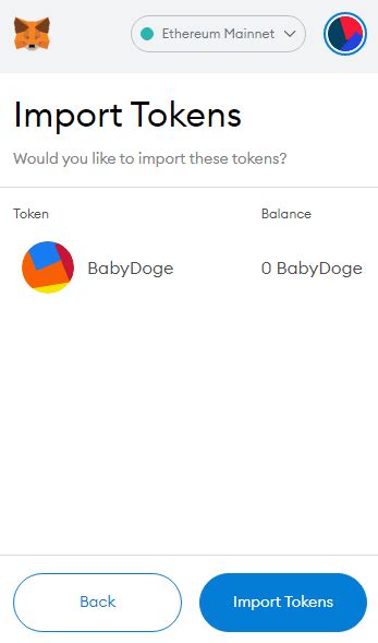 4 Steps To Add BABYDOGE To Your Metamask Wallet | Financially Independent Pharmacist