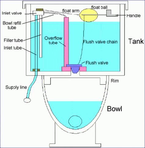 Toilet Flush Valve Parts | Reviewmotors.co