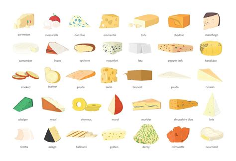 Set of Realistic Cheese with Titles 9639761 Vector Art at Vecteezy