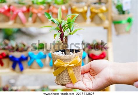 15 Cny Greeting Parents Stock Photos, Images & Photography | Shutterstock