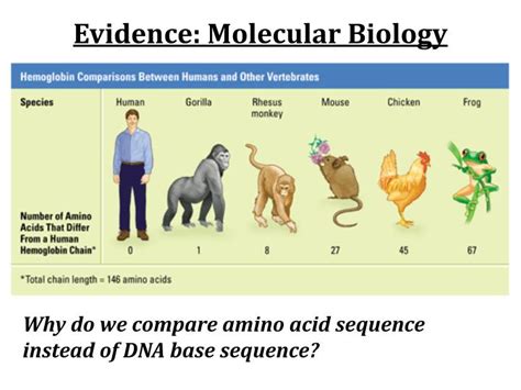 Examples Of Dna Evidence