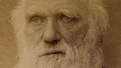 Charles Darwin: Early Life, Theories, and Books - Malevus