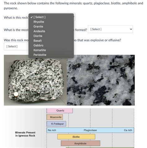 Solved The rock shown below contains the following minerals: | Chegg.com