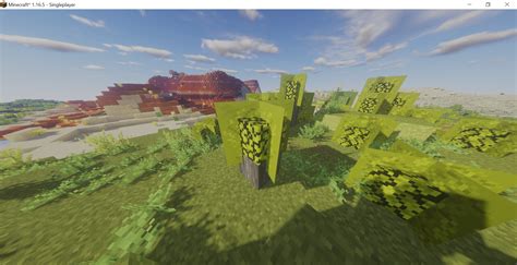 Anyone know why this happens to the leaves? : r/Minecraft