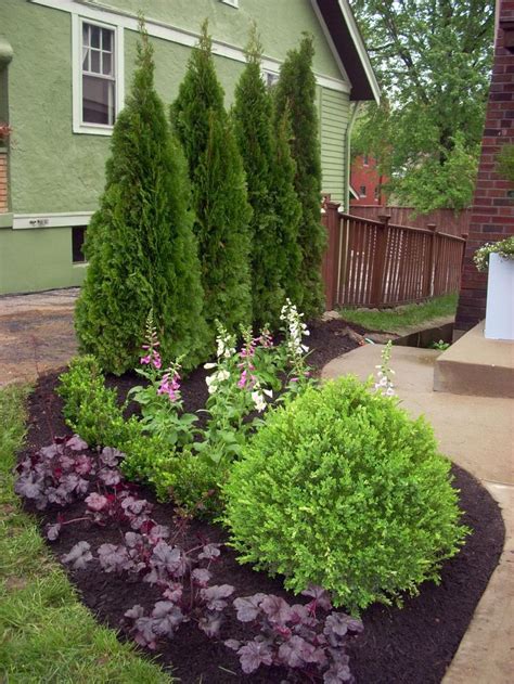 14 Inexpensive Landscape Plants | Gardens, Save$$$ and Evergreen shrubs