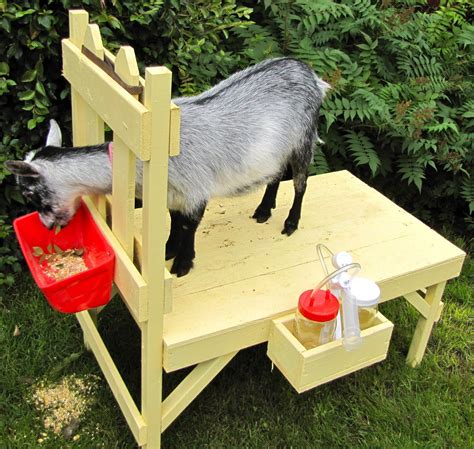 Picking Milking Goats for the Homestead - Sustainable Farming - MOTHER EARTH NEWS | Goat milking ...