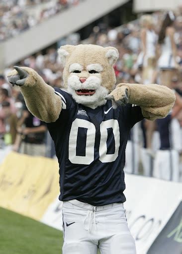 "Cosmo" - Brigham Young University | Byu mascot, Byu cougars, Byu football