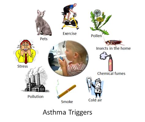 Asthma triggers: foods, allergies, drugs, flu, & exercise - Nigerian Health Blog