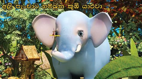 Sinhala Cartoon-Surangana Katha අලි පැංචාට හම්බුන කූඹි යාළුවා - Lama Gee (ළමා ගී)