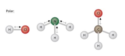 How Do You Know if a Molecule Is Symmetrical - Rollins Andelibubled