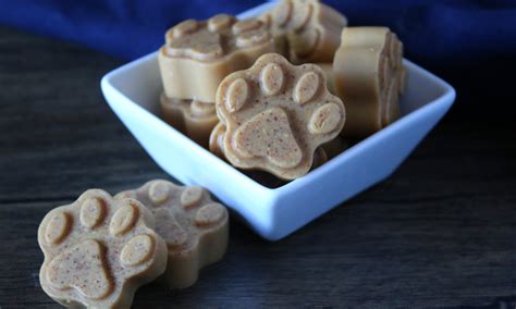 Coconut Oil Dog Treats with Peanut Butter - The Coconut Mama