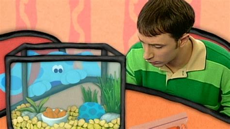 Watch Blue's Clues Season 3 Episode 18: Shy - Full show on Paramount Plus