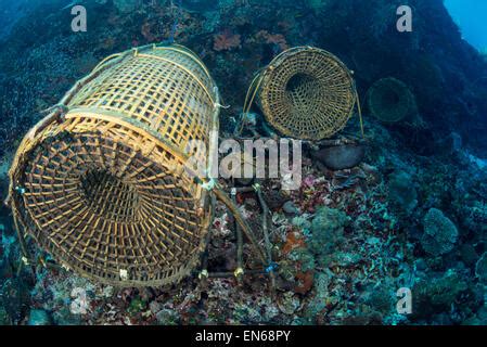 Fish trap on reef, Pantar Island, Alor Archipelago, Lesser Sunda ...