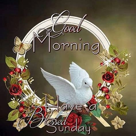 Have A Blessed Sunday – Good Morning