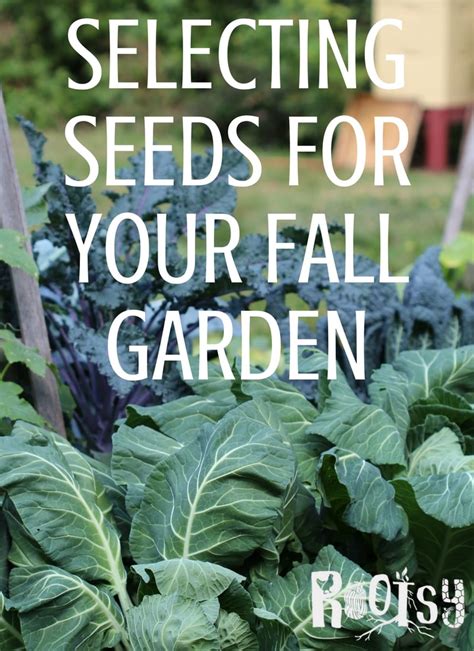 Selecting Seeds for Your Fall Garden | Rootsy Network