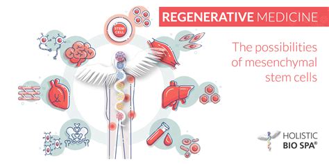 How Does Regenerative Medicine Work? Puerto Vallarta Clinic