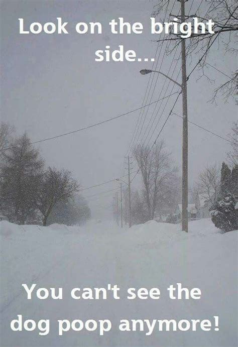 funny snowstorm memes - geneva-ortiz