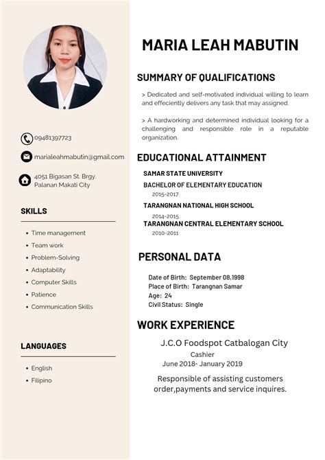 Modern CV Design for School Skills