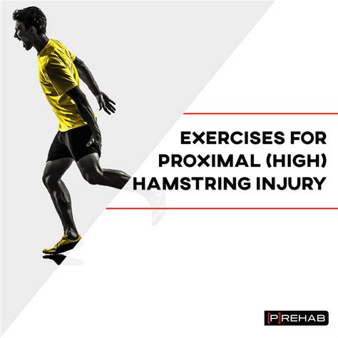 Exercises for Proximal (High) Hamstring Injury - [P]rehab