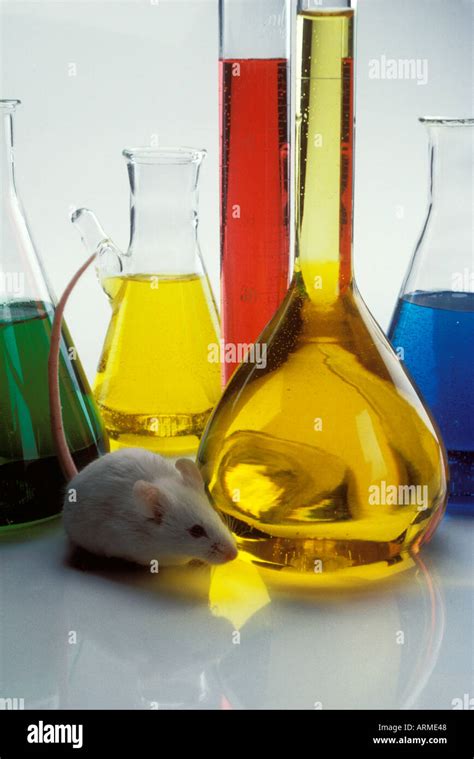 Beakers and mouse Stock Photo - Alamy