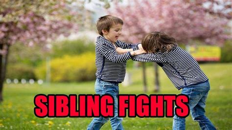 Sibling Fights: How to Deal with Them? | Sibling fights, Sibling fighting, Fight