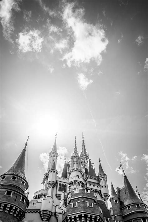 Disney World Castle Iphone Wallpaper