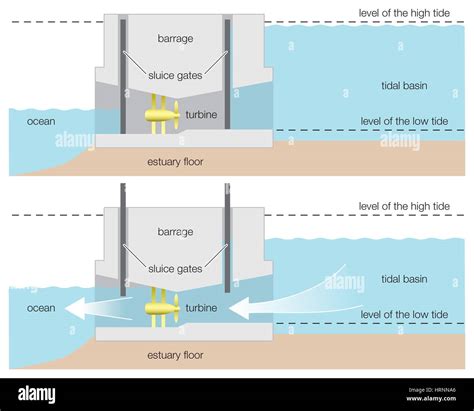 Diagram of a tidal power barrage, wind, renewable energy, alternative energy, hydroelectricity ...