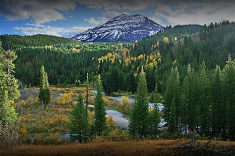 Moose Flat Campground - 1 Photos - Alpine, WY - RoverPass