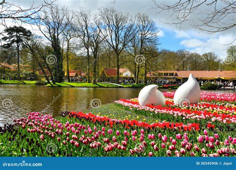 Spring Flowers in Keukenhof Park Stock Photo - Image of colorful, leaves: 30345906