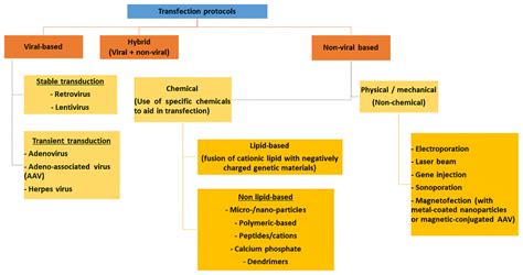 Transfection types, methods and strategies: a technical review [PeerJ]