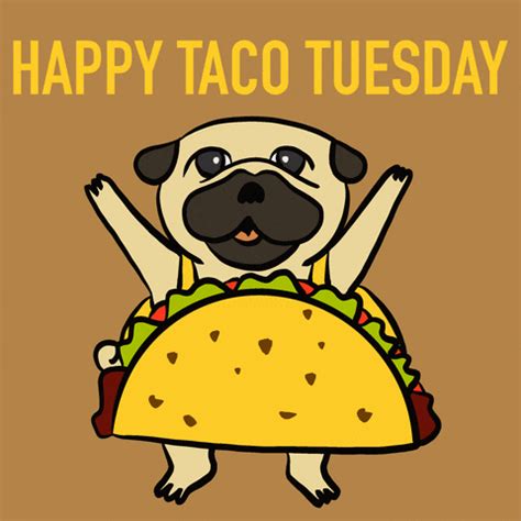 Taco Tuesday | Taco Tuesday | Know Your Meme