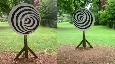 Optical Illusion: Are these rotating circles in the clip 2D or 3D ...