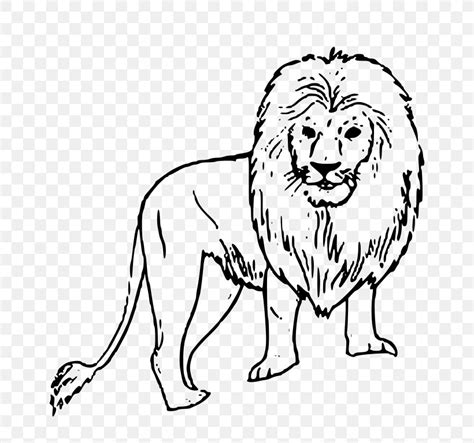 Lion Drawing Black And White Clip Art, PNG, 768x768px, Lion, Animal ...