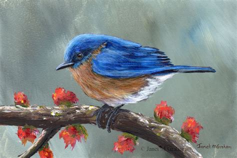 Bird Art Painting / Spring Bluebird / SFA / Wildlife / Original hand painted bird acrylic ...