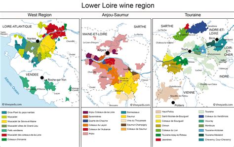 Muscadet Anjou Saumur Touraine Map of Vineyards Wine Zones