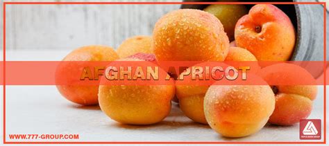 Afghan apricot