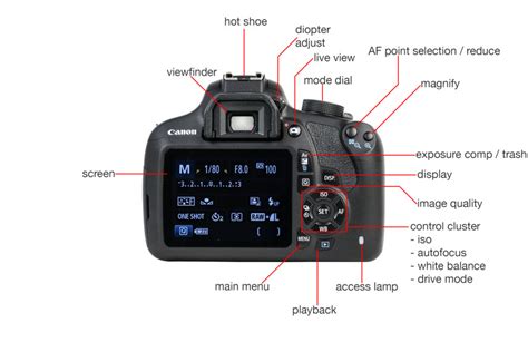 Canon T5i Diagram